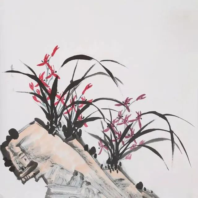 05.jpg 图片